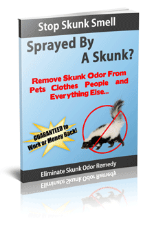 Stop Skunk Smell